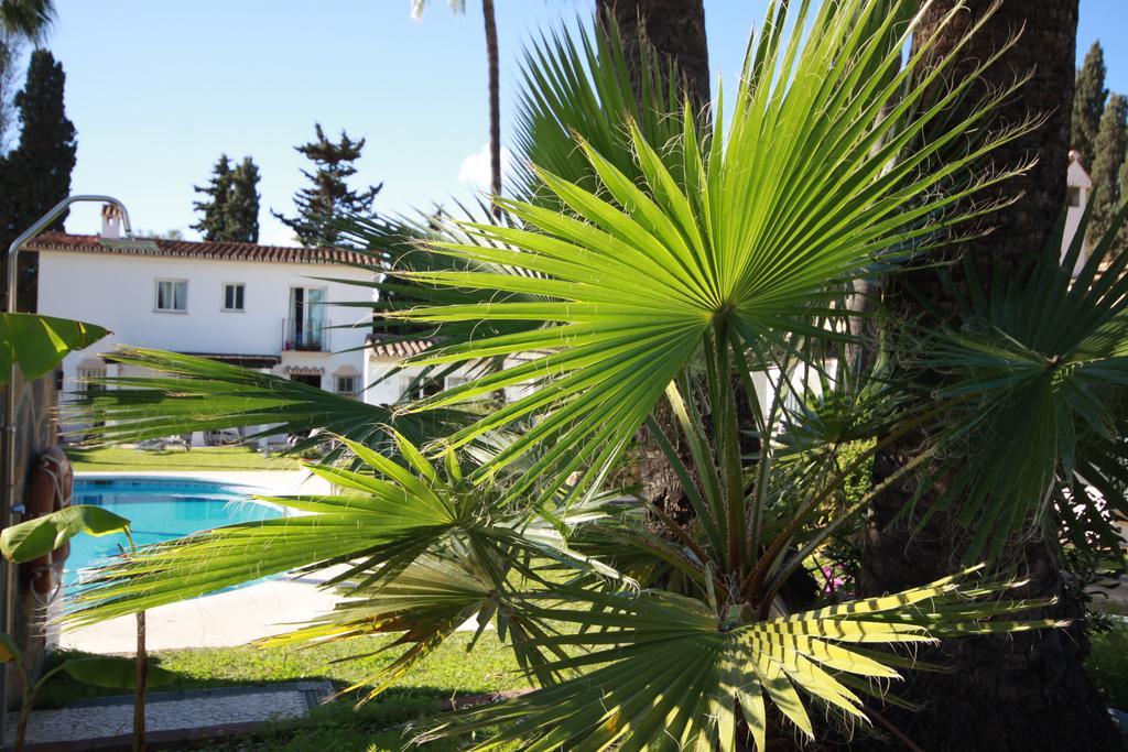 Banus Marbellac