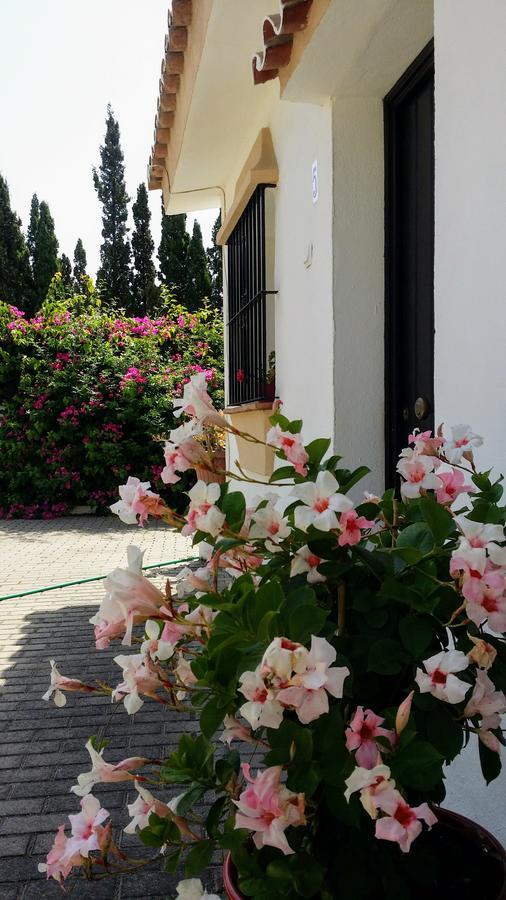 Banus Appartement *