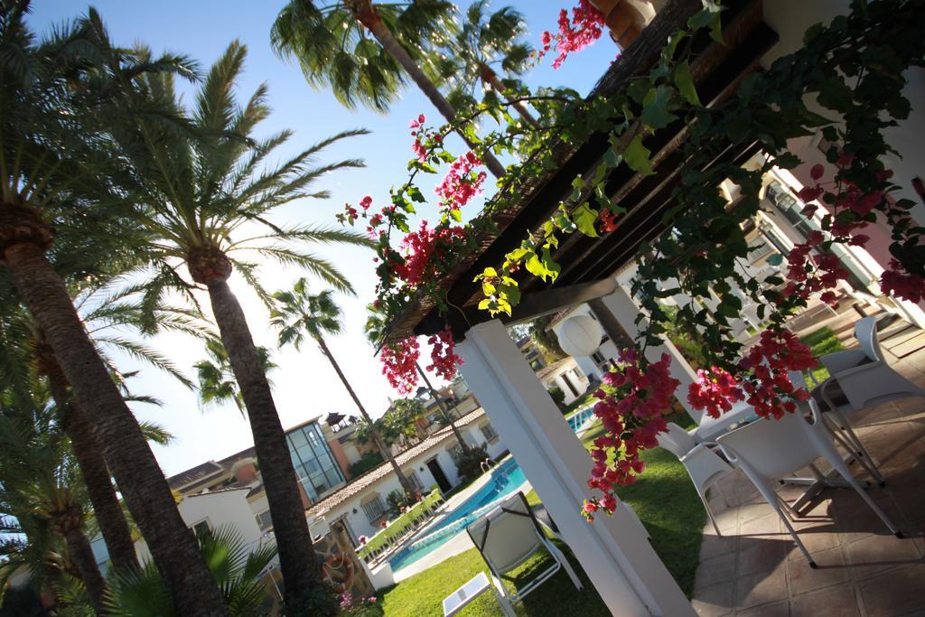 Apartament Banus *