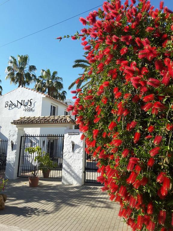 Banus Apartament Marbella