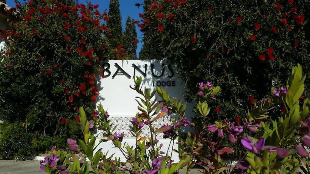 Apartament Banus